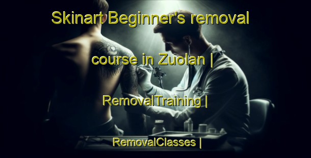 Skinart Beginner's removal course in Zuolan | RemovalTraining | RemovalClasses | SkinartTraining-China